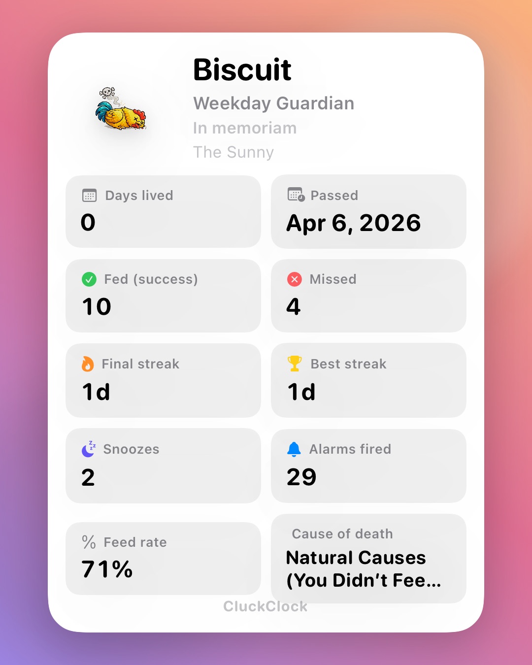 CluckClock dead chicken share screen